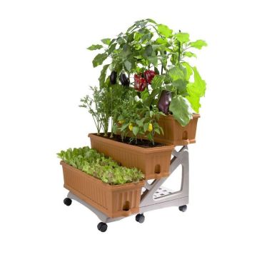 Orto Easy - Lot de 3 jardinières avec chariot No Brand 
